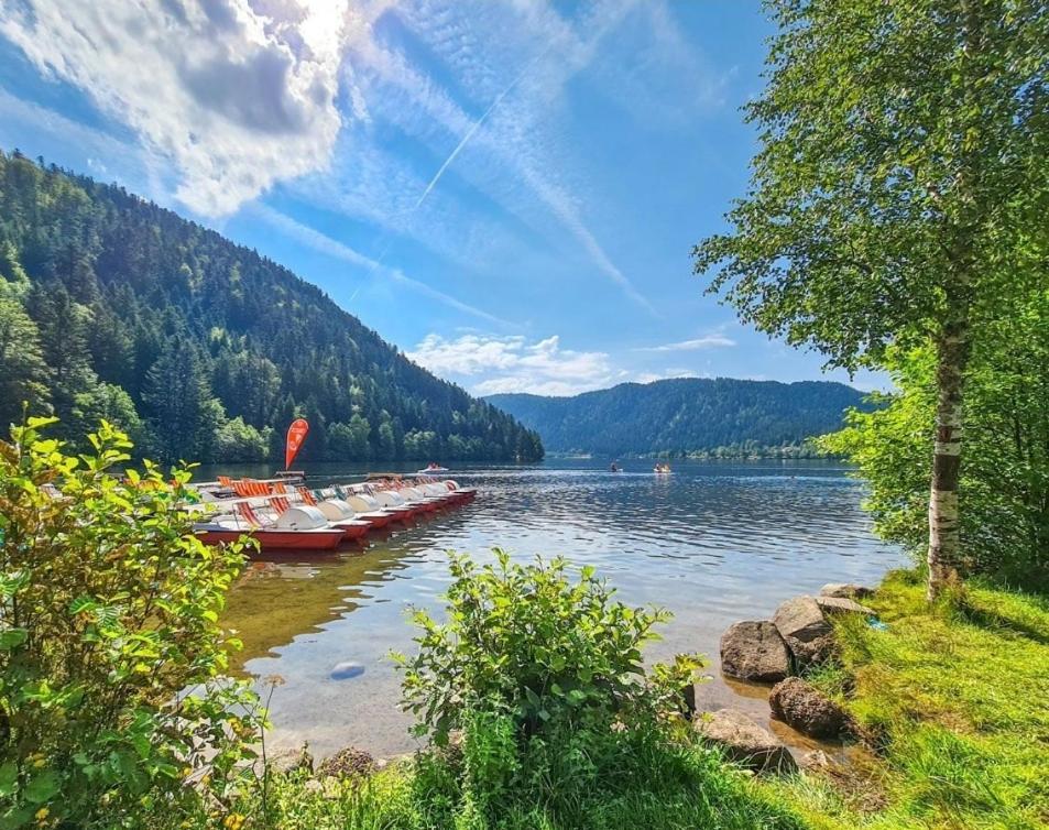 Gite Spa "La Foret Argentee" Proche Gerardmer Laveline-du-Houx Exterior foto